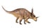 Styracosaurus dinosaur on isolated background