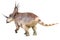 Styracosaurus dinosaur on isolated background