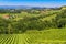 Styrian Tuscany Vineyard, Styria, Austria