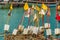 Styrofoam buoys with colored flags