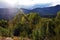 Sub alpine mountain woodland at Tidbinbilla, Australia