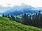 Subalpine forests in the Ostschweiz region