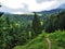 Subalpine forests in the Ostschweiz region