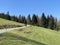 Subalpine roads, mountain forest trails and recreational bike trails on the slopes of the Swiss mountain massif Pilatus