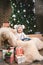 Subject children christmas new year. Caucasian little funny baby boy 1 year old sitting sleigh bear skin Christmas tree head warm