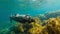 Submarine Drifting By Seaweed In Ocean