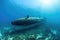 submarine partially submerged in clear blue sea