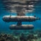 Submarine submerges underwater.