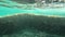 Submarine view in the sardinia coast with ancient ruins in slow motion