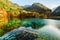 Submerged fallen trees in azure water of the Five Flower Lake