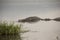 Submerged hippos in pool, Ngorongoro Crater, Tanzania