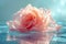 Submerged Pink Rose in Tranquil Water