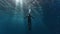 Submerged Serenity: A Diver\\\'s Glimpse