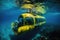 submersible with view of the vibrant ocean floor, teeming with life