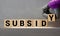 SUBSIDY word on wood blocks concept