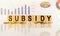 SUBSIDY the word on wooden cubes, cubes stand on a reflective surface, in the background is a business diagram