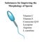 Substances for improving sperm morphology. sperm, fertilization vitamins. Vector illustration on isolated background