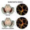 Substantia nigra in norm and in Parkinson`s disease