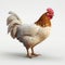 Subtle Realism: 3d Rendered Chicken On White Background