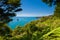 Subtropical forest of Abel Tasman NP, New Zealand