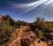 Subtropical vegetation in the High Atlas Morocco