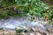 Subtropics in winter. Mountain stream with green bridge