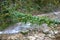 Subtropics in winter. Mountain stream with green bridge