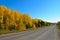 Suburb road in autumn