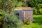 Suburban London garden. Garden studio office room with black and cedar cladding and green living roof.