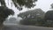 Suburban residential district street, foggy misty road rainy weather, California