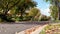 Suburban street of a quiet residential neighborhood in Melbourne. Beautiful autumn view on a tree-lined road