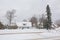 Suburban street with typical canadian houses and bare and  spruce trees in the snow.