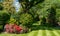 Suburban, well stocked garden in London UK, with neatly mown striped lawn, tall oak tree, colourful azalias and other trees.