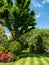 Suburban, well stocked garden in London UK, with neatly mown striped lawn, tall oak tree, colourful azalias and other trees.