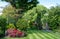 Suburban, well stocked garden in London UK, with neatly mown striped lawn, tall oak tree, colourful azalias and other trees.