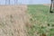 SUCCESION OF OVERHEAD POWER LINES STRECHING ACROSS A GRASSLAND