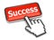 Success button and hand cursor