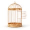 Success concept. Open bird`s cell isolation on a white background.