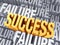 Success Emerges From Failure