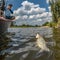 Success fishing. Fisherman catch asp aspius fish from boat at wild river