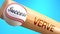 Success in life depends on verve - pictured as word verve on a bat, to show that verve is crucial for successful business or life