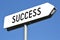 Success - metal, white signpost, sky in background.