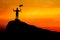 success and silhouette of businessman holding winner flag on mountain, leader, achievement and win concept