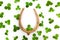 Success symbol. Holiday concept. Horseshoe with clovers leaves isolated on white. Greeting card.