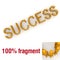 SUCCESS word mounted by tiny characters