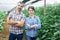 Successful farmer couple on plantation of eggplants in greenhouse