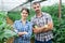 Successful farmer couple on plantation of eggplants in greenhouse