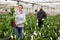 Successful female floriculturist with blooming potted calla