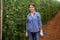 Successful female gardener with blue tomatoes in greenhouse