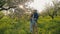 Successful male farmer with children in blooming apple orchard